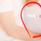 Анализ крови на ХГЧ: уровень гормона беременности по дням от зачатия